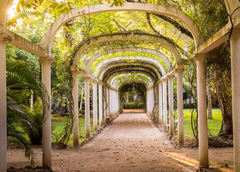 Jardim Botanico, Rio de Janeiro - Jardim Botânico | Secret World Trip Planner