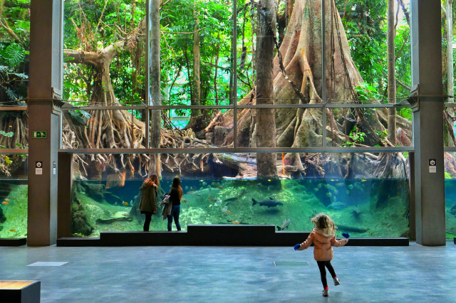 Museo CosmoCaixa - Barcelona | Secret World Trip Planner
