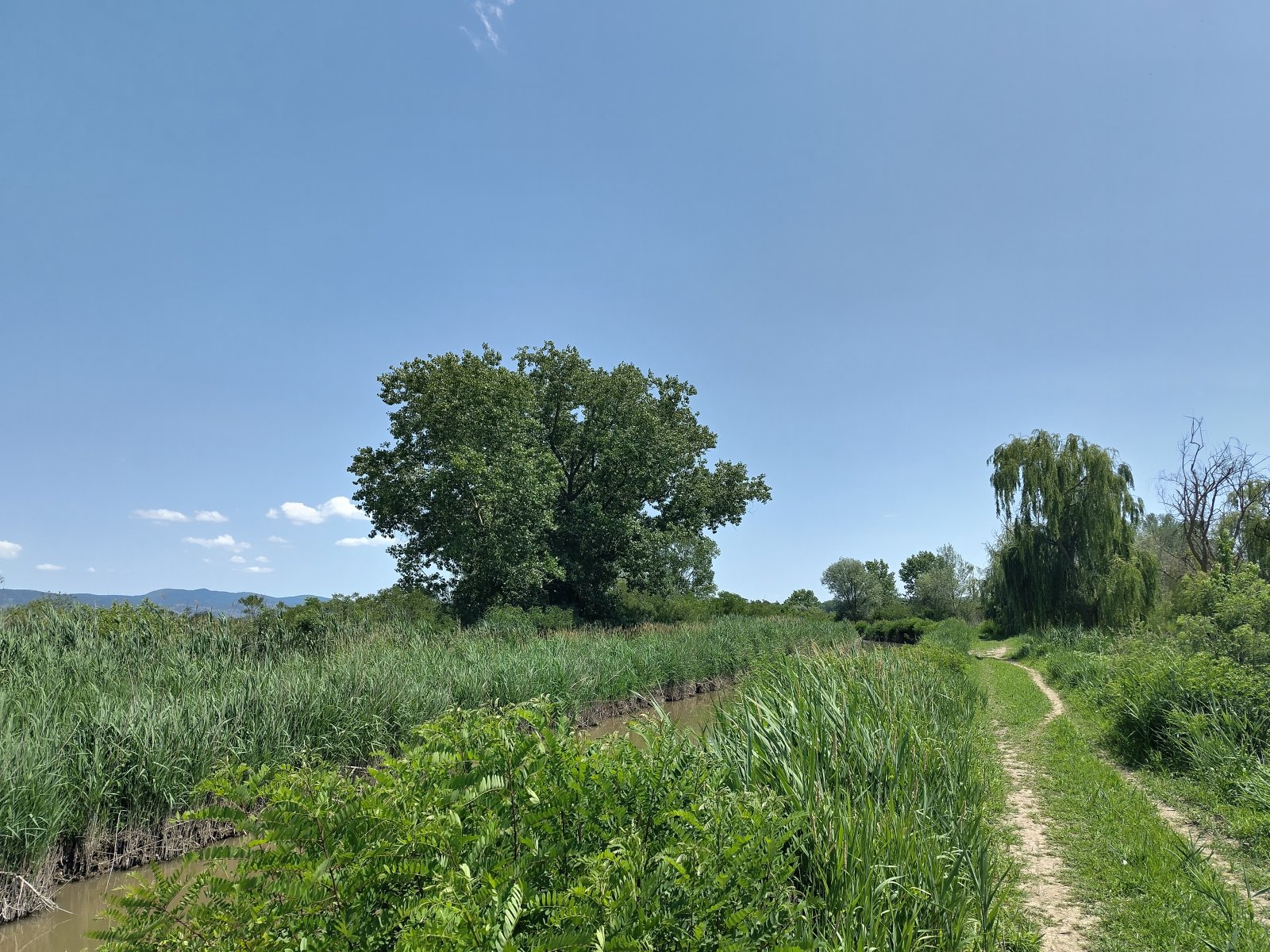 Padule di Fucecchio - Fucecchio | Secret World Trip Planner