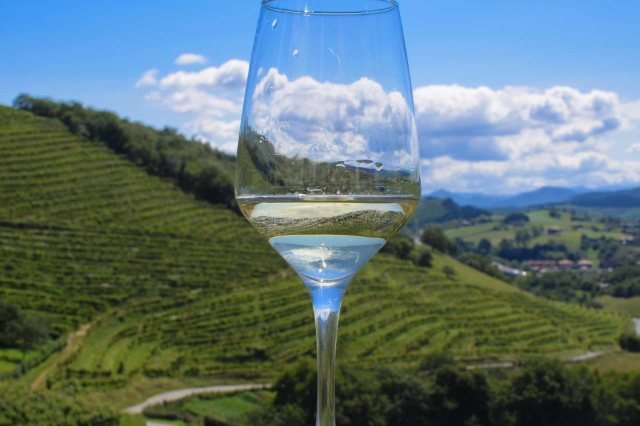 Txakoli wine - San Sebastián | Secret World Trip Planner