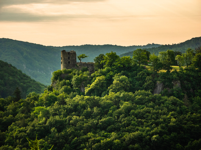 Rovina del castello di Neideck Wiesenttal - Wiesenttal | Secret World Trip Planner