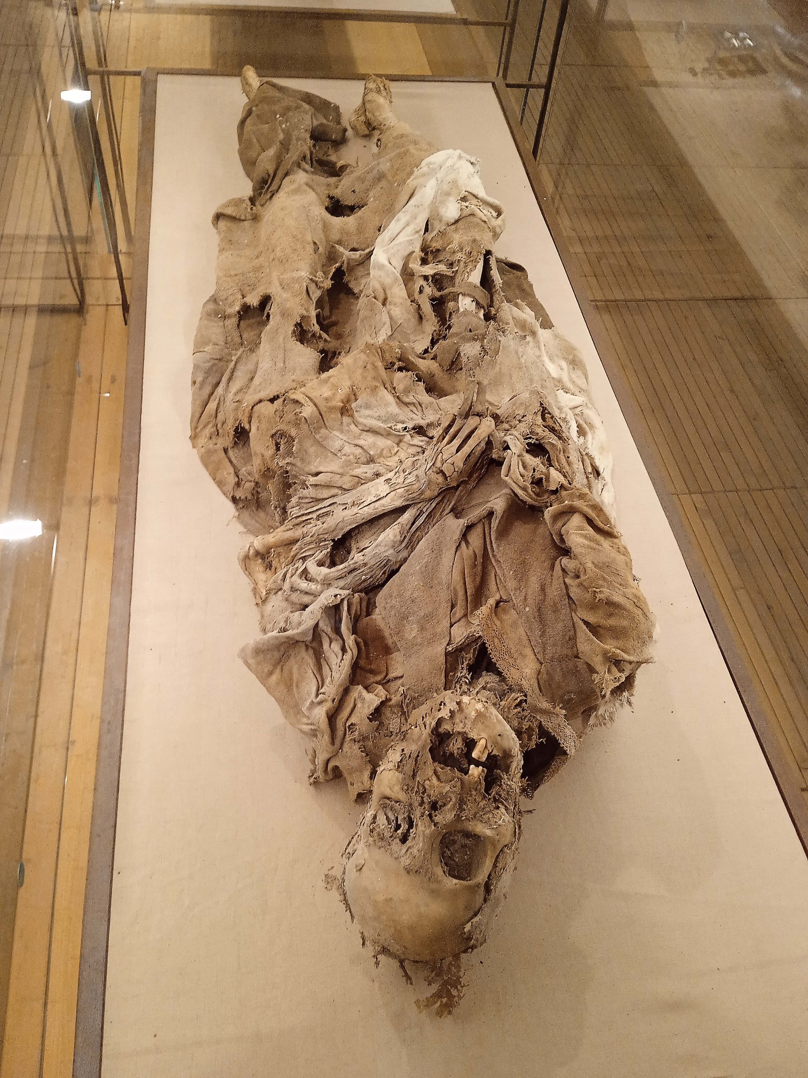 Krypta-Museum in Monsampolo - Monsampolo del Tronto | Secret World Trip Planner