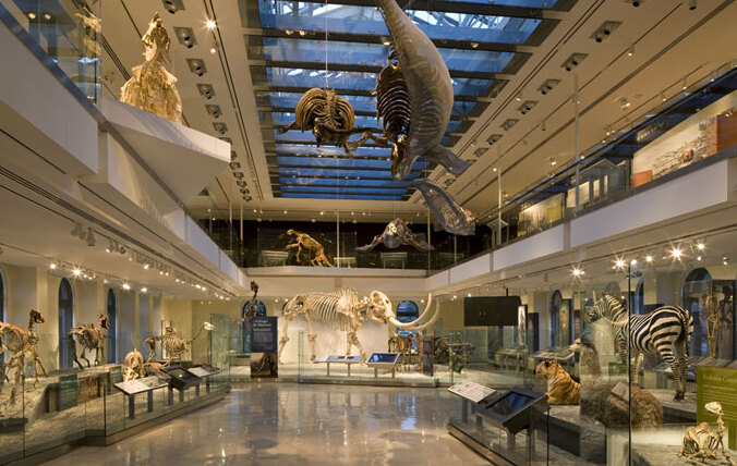 クリーブランド自然史博物館 — Cleveland
