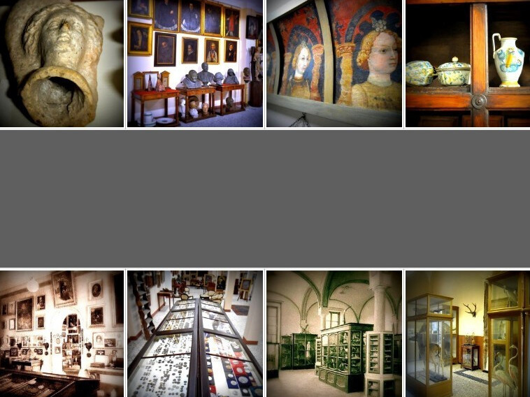 Muzeum Berenziano w Cremonie - Cremona | Secret World Trip Planner
