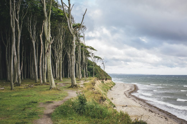 Floresta Fantasma Nienhagen - Nienhagen | Secret World Trip Planner