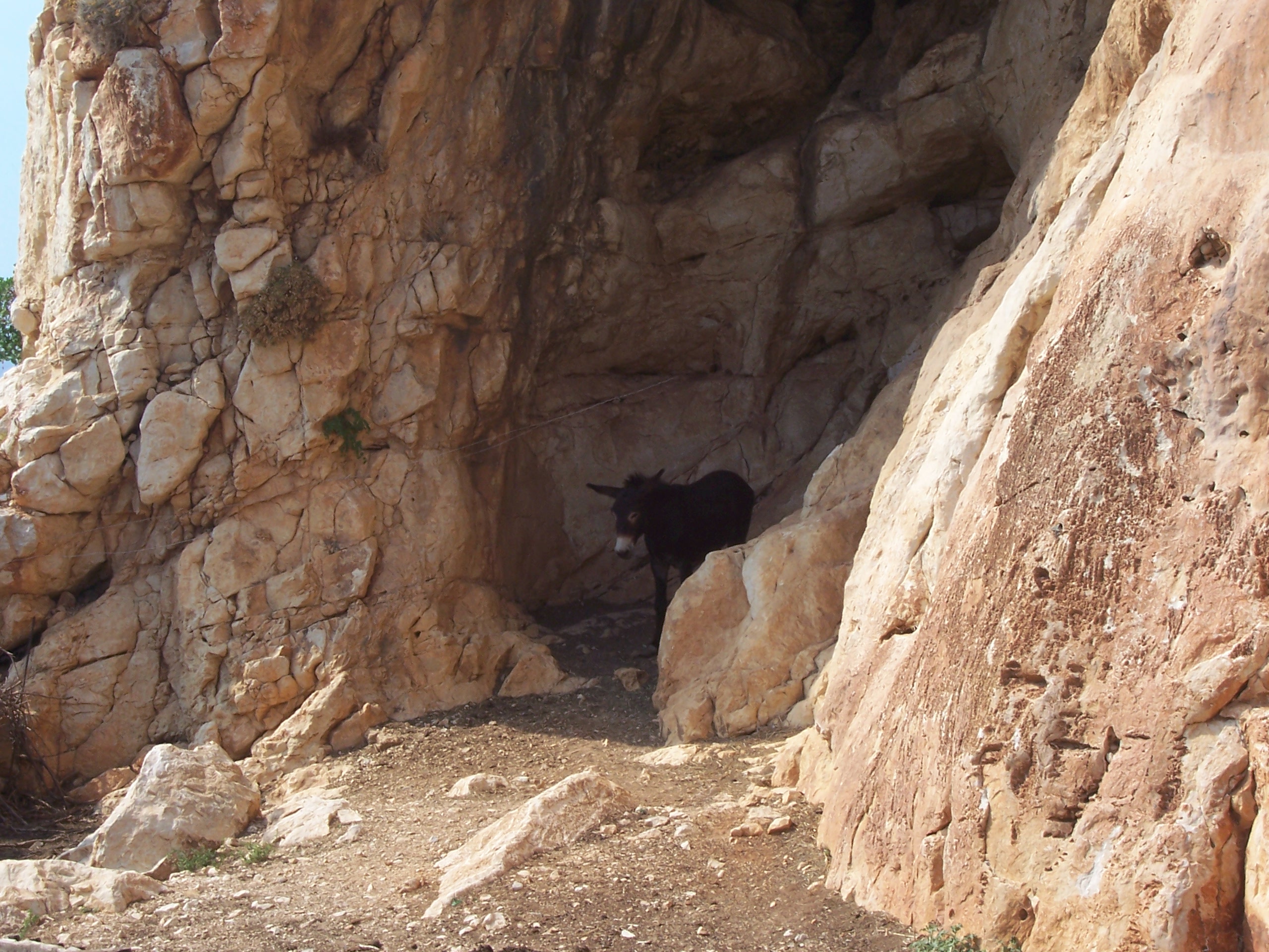 Sicily: Mount Cofano Nature Reserve - Custonaci | Secret World Trip Planner