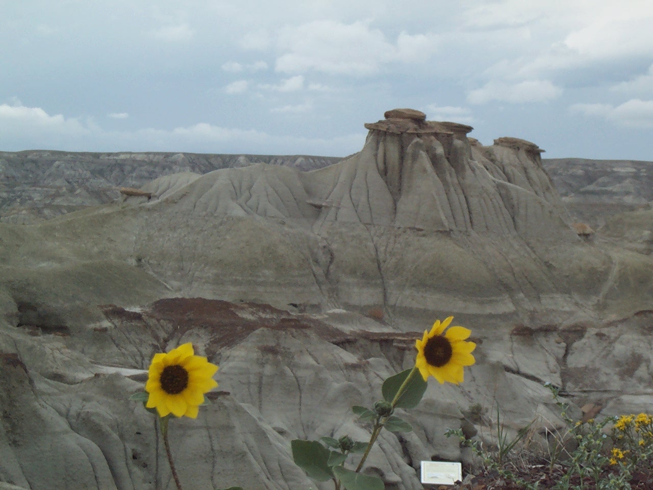 Canadá / Parque provincial dos dinossauros - Alberta | Secret World Trip Planner