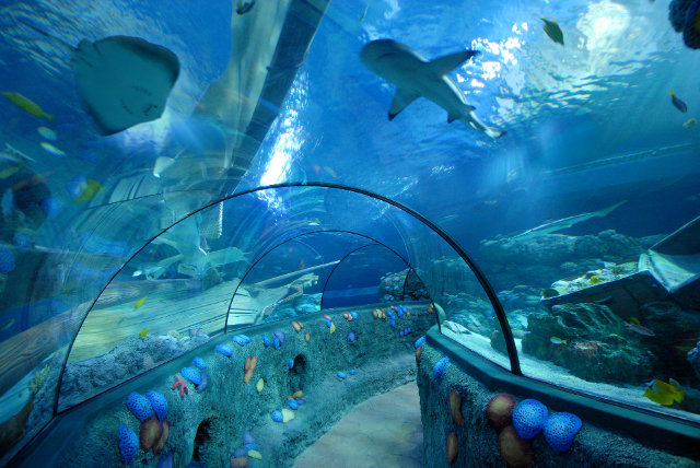 斯佩尔海洋生物馆 - Speyer | Secret World Trip Planner