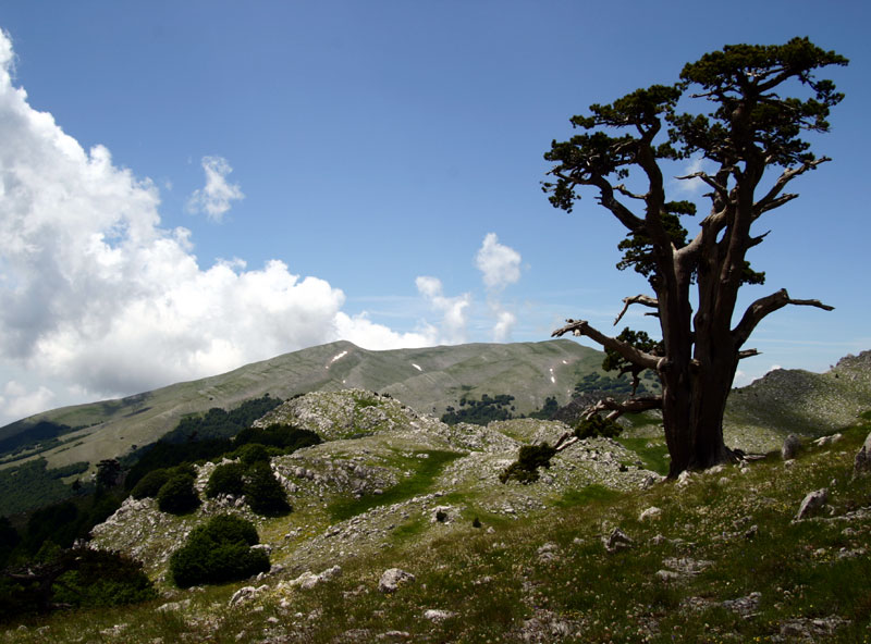 Pollino Park - Terranova di Pollino | Secret World Trip Planner