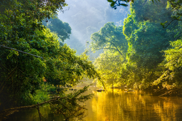 Parc national du Corcovado - Los Patos Sirena Trail | Secret World Trip Planner