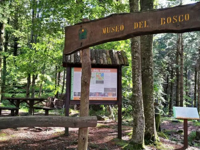 Woodland Museum - Lago delle Lame | Secret World Trip Planner