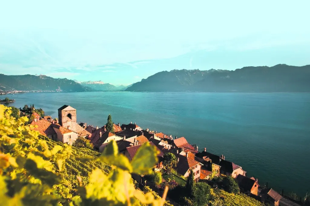 Lavaux, die Weinberge des UNESCO-Welterbes in der Schweiz. - Distretto di Lavaux-Oron | Secret World Trip Planner
