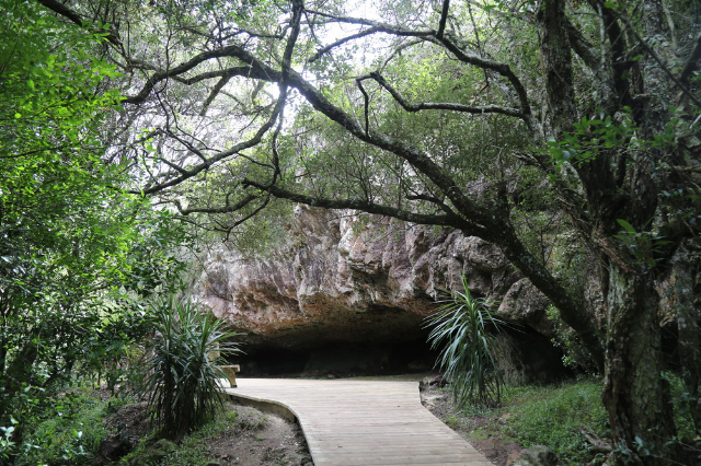 Cave of Salamanca — Maldonado