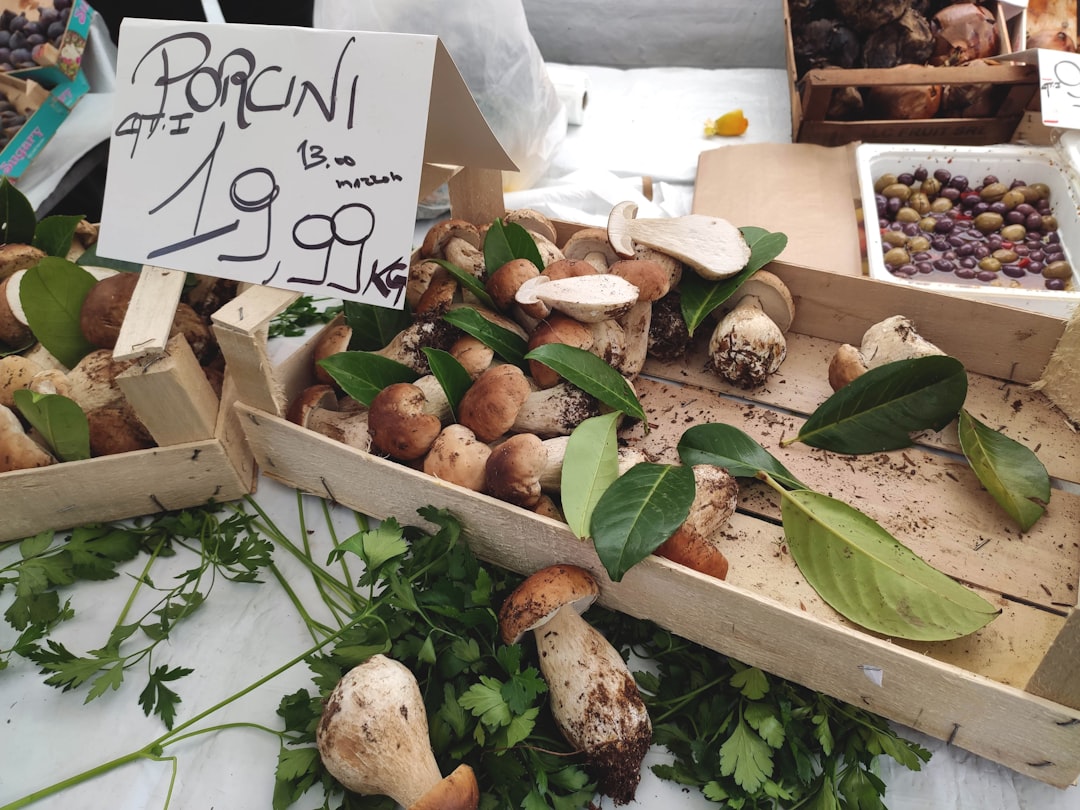 Suppen mit Pilzen - Civitella del Tronto | Secret World Trip Planner