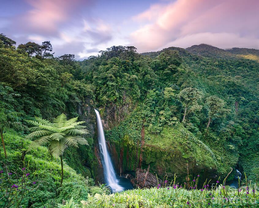 Costa Rica: Wasserfall Catarata Del Toro — Provincia di Alajuela