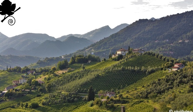 Valcalepio D.O.C. wine - Valcalepio DOC | Secret World Trip Planner