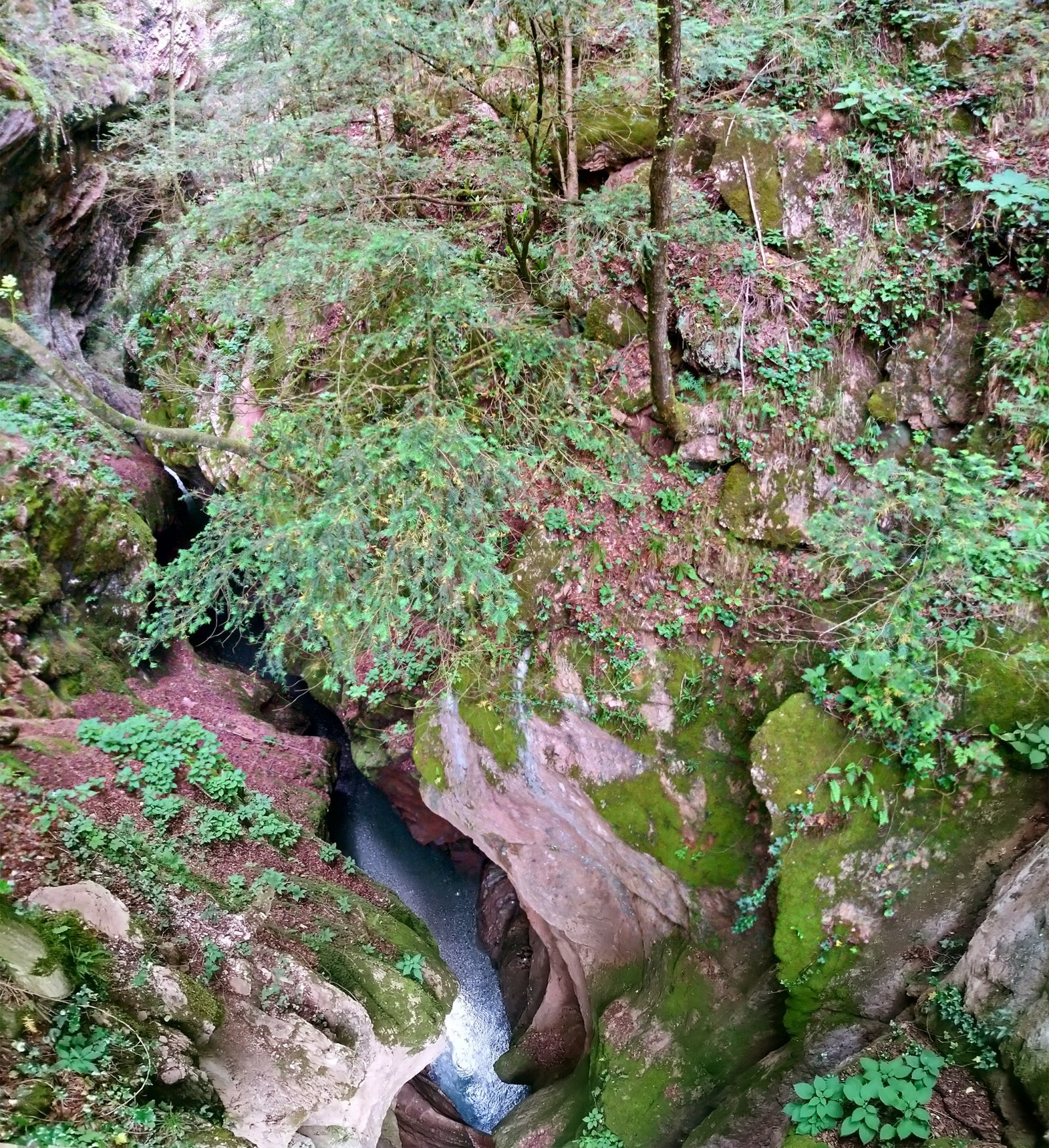 Cañones del río Ardo - Belluno | Secret World Trip Planner