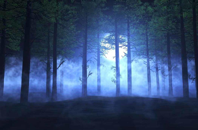 Aleya luzes fantasmas - খুলনা | Secret World Trip Planner
