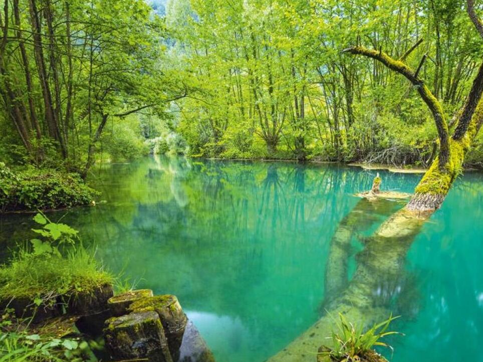 Palù del Livenza - Parc de l'Humus - 34 | Secret World Trip Planner