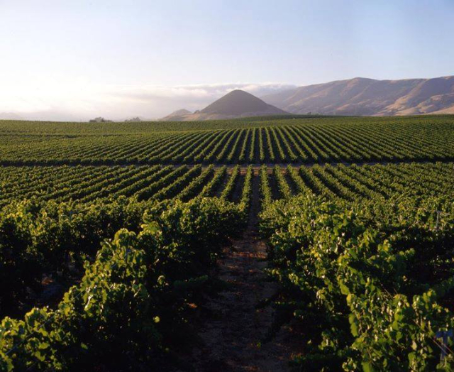 Vino de Saboya - Porto Rafti | Secret World Trip Planner