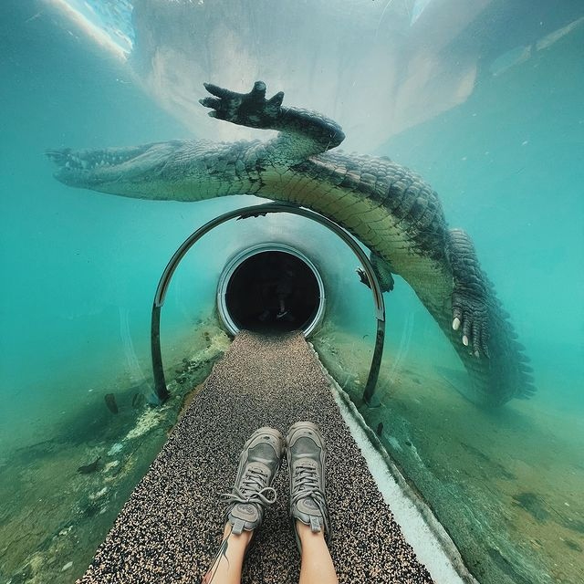 迈阿密-戴德动物公园 - Miami | Secret World Trip Planner