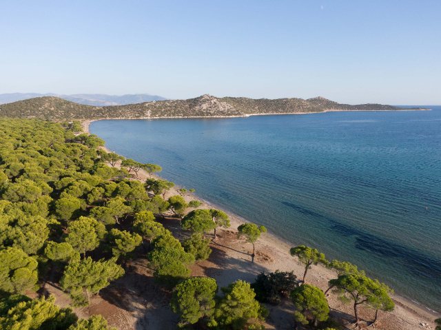 Der Strand von Schinias - Marathon | Secret World Trip Planner