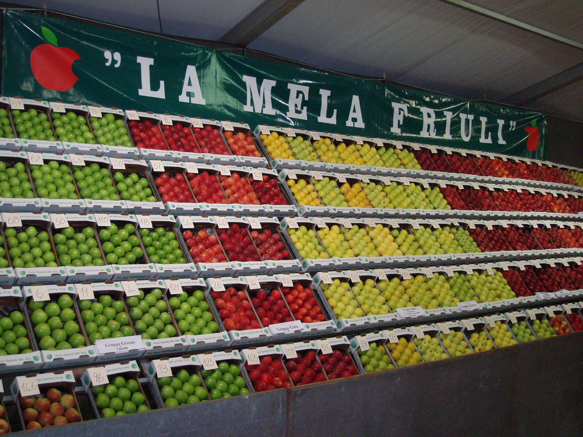 Mela del Friuli Venezia Giulia BOB — Spilimbergo