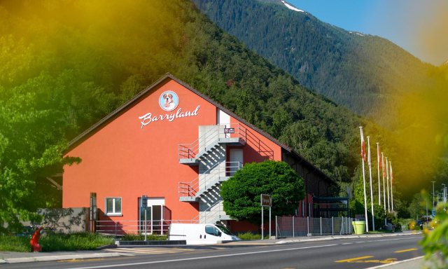 Barryland, het hondenmuseum van St. Bernard - Martigny | Secret World Trip Planner