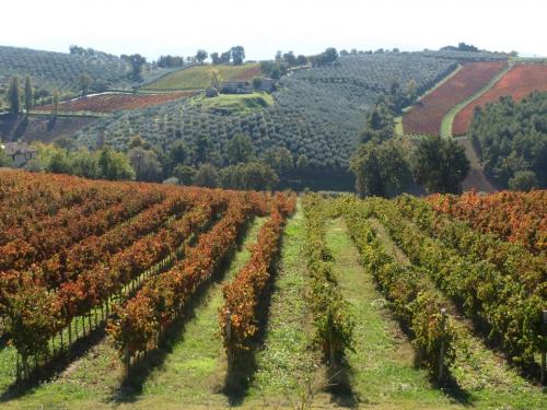 몬테팔코 사그란티노 - Montefalco | Secret World Trip Planner