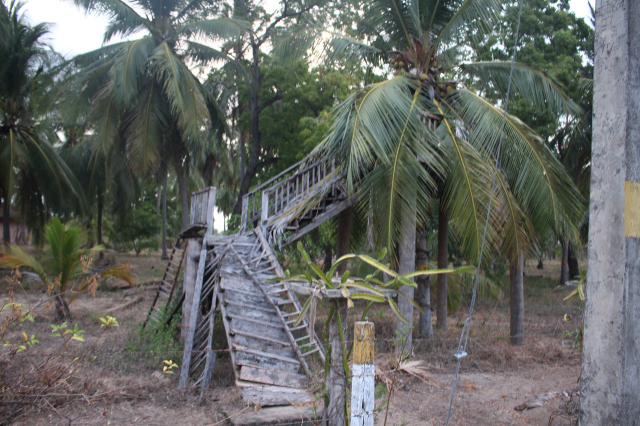 Parc culturel de la noix de coco - Kalkudah | Secret World Trip Planner