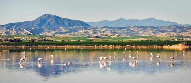 Salzsee von Larnaca - Larnaca | Secret World Trip Planner