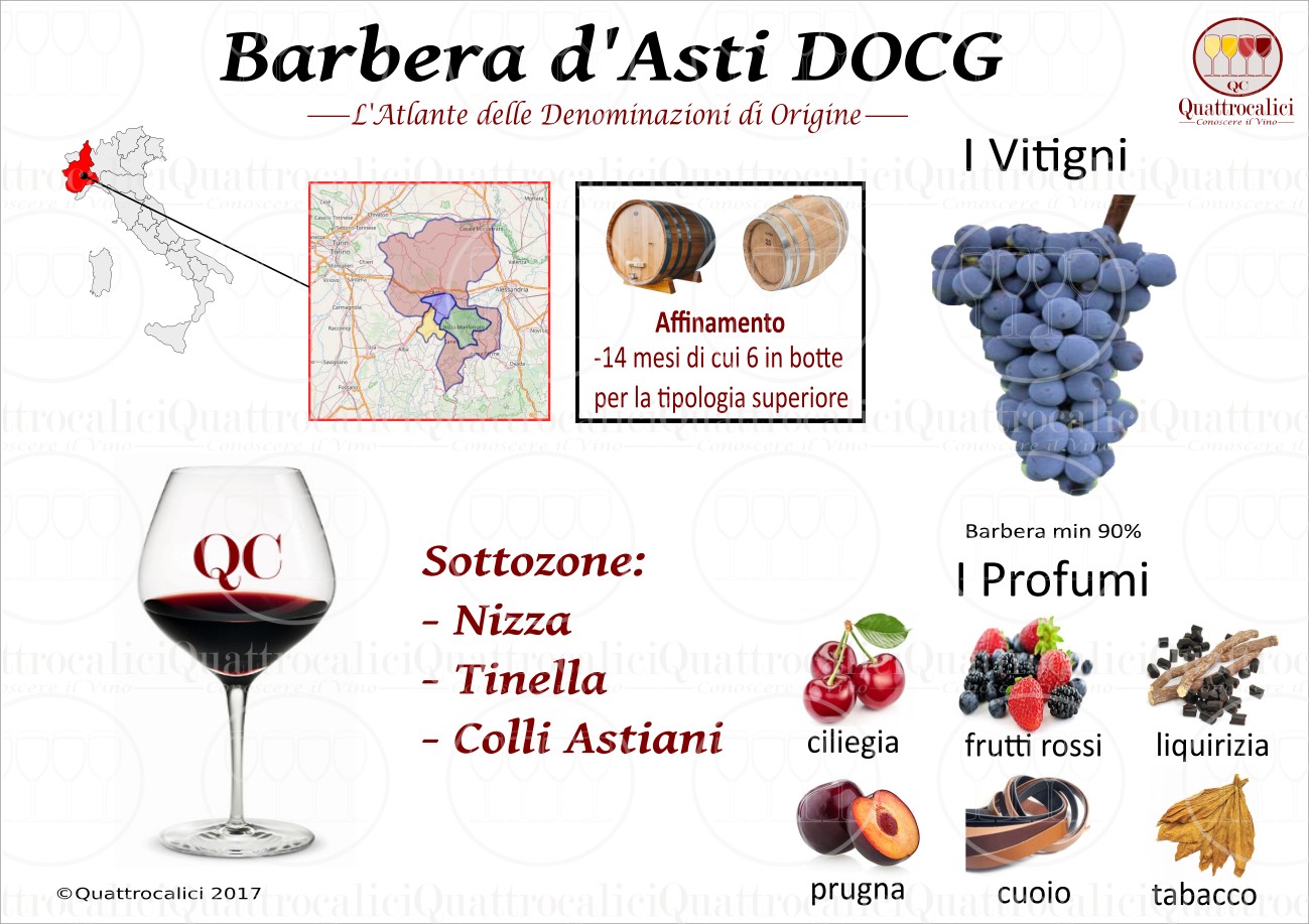 Top Wines of The World | Barbera d'Alba doc — 12051 Alba CN