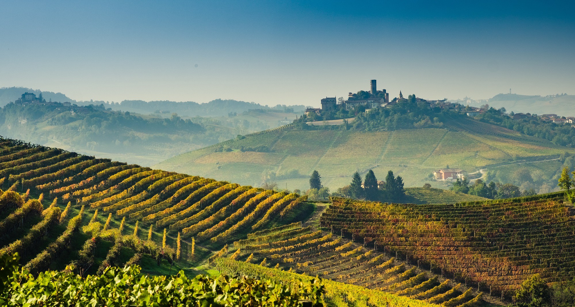 Barolo and its wine — Barolo