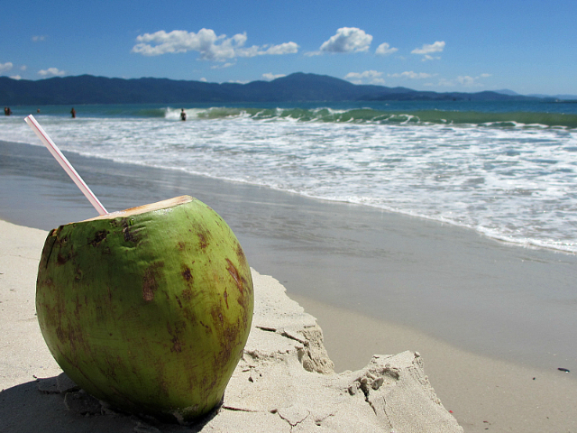 The Green Coco - Recife | Secret World Trip Planner