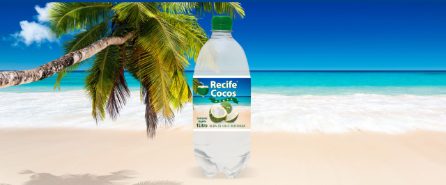 The Green Coco - Recife | Secret World Trip Planner