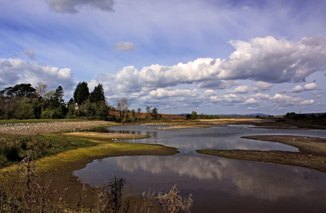 Maravilla natural del castillo de Espie - Comber | Secret World Trip Planner