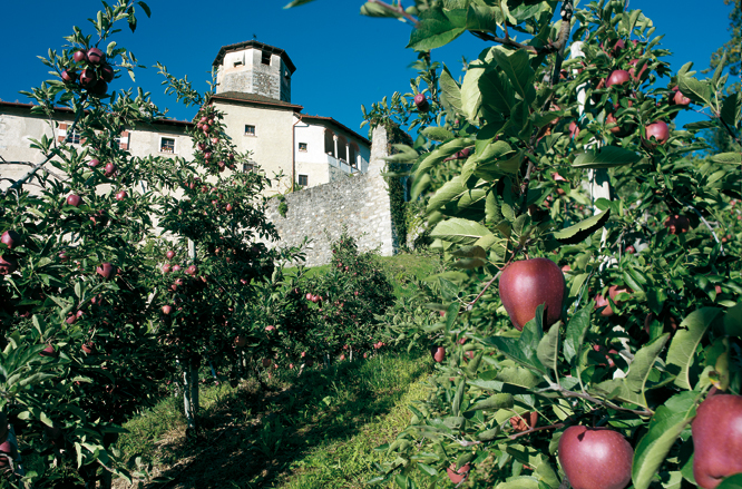 Os pomares de maçãs do Val di Non - Val di Non | Secret World Trip Planner