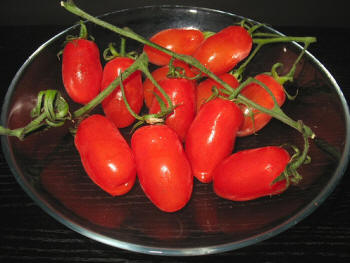 San Marzano - Koningstomaat - Sarno | Secret World Trip Planner