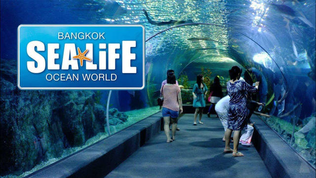 Sea Life Bangkok Ocean World - Khet Pathum Wan | Secret World Trip Planner