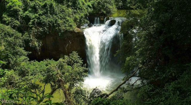 Park Narodowy Khao Yai - Provincia di Nakhon Ratchasima | Secret World Trip Planner