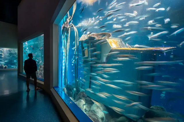 Acuario Finisterrae - A Coruña | Secret World Trip Planner