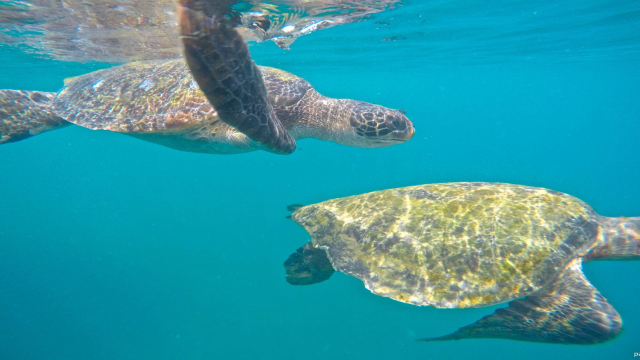 Parque Nacional de Machalilla - Puerto López | Secret World Trip Planner