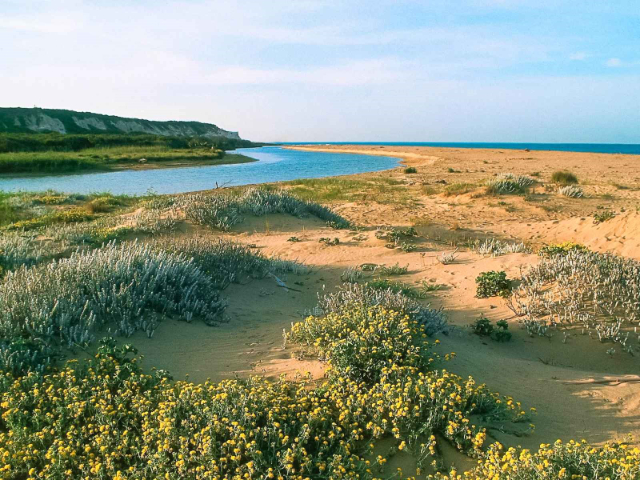 Reserva Natural Orientada Foce del Fiume Platani - Ribera | Secret World Trip Planner