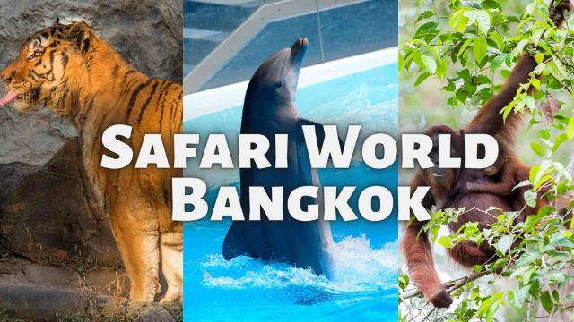 Safari World Bangkok - Khet Khlong Sam Wa | Secret World Trip Planner