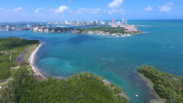 Virginia Key Strandpark - Florida | Secret World Trip Planner