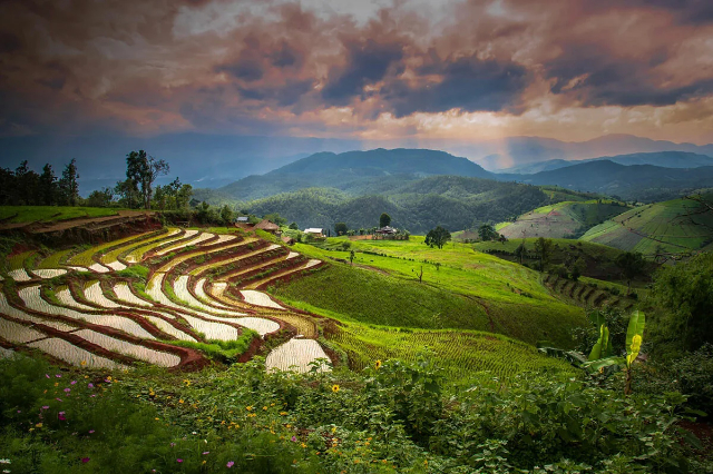 巴邦比翁水稻梯田 - Tambon Chang Khoeng | Secret World Trip Planner