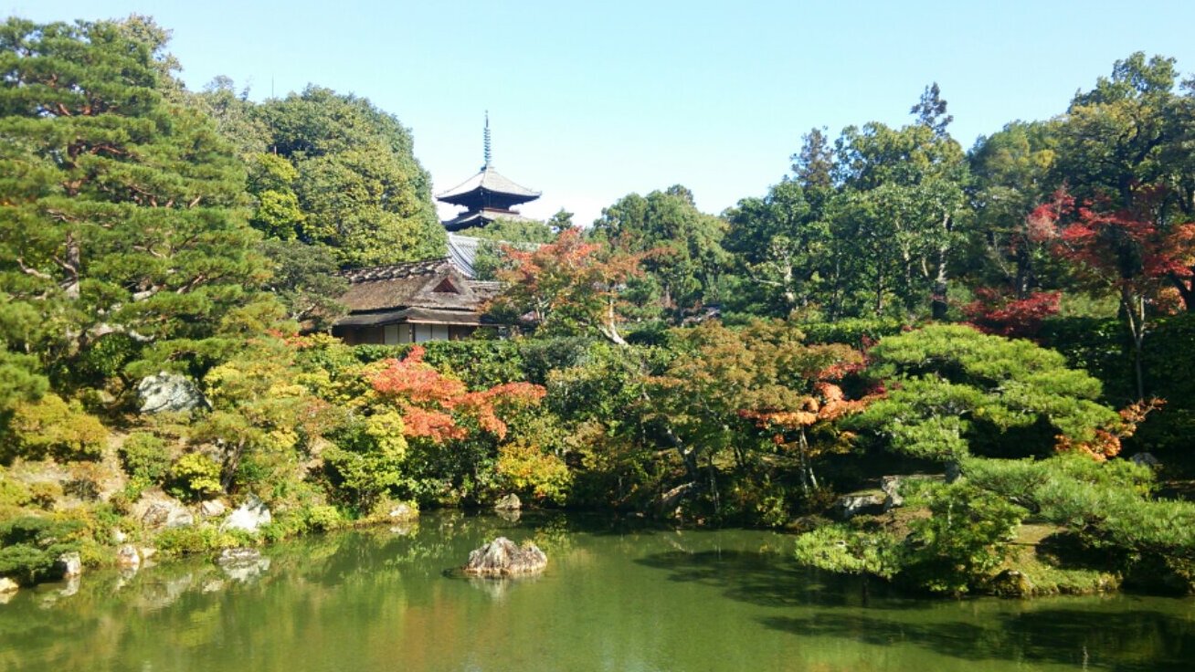 Ninnaji ist einer der großen Unesco-Tempel in Kyoto — Ky?to-shi