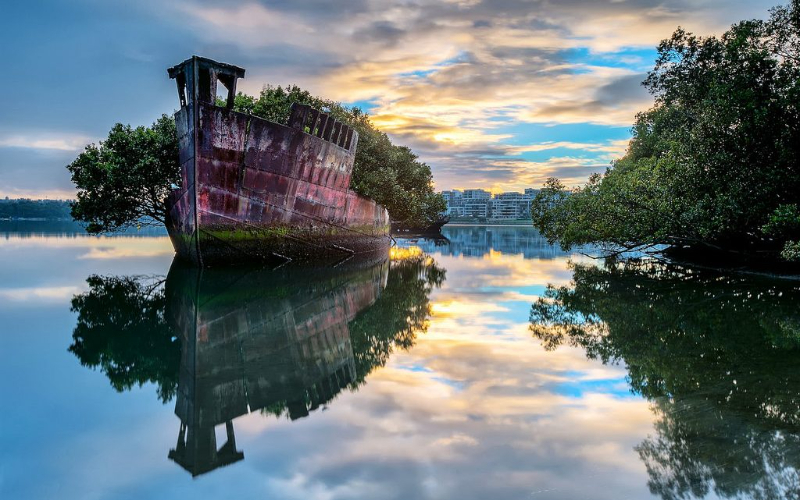 Un navire de mangrove - Homebush Bay or The Flats | Secret World Trip Planner