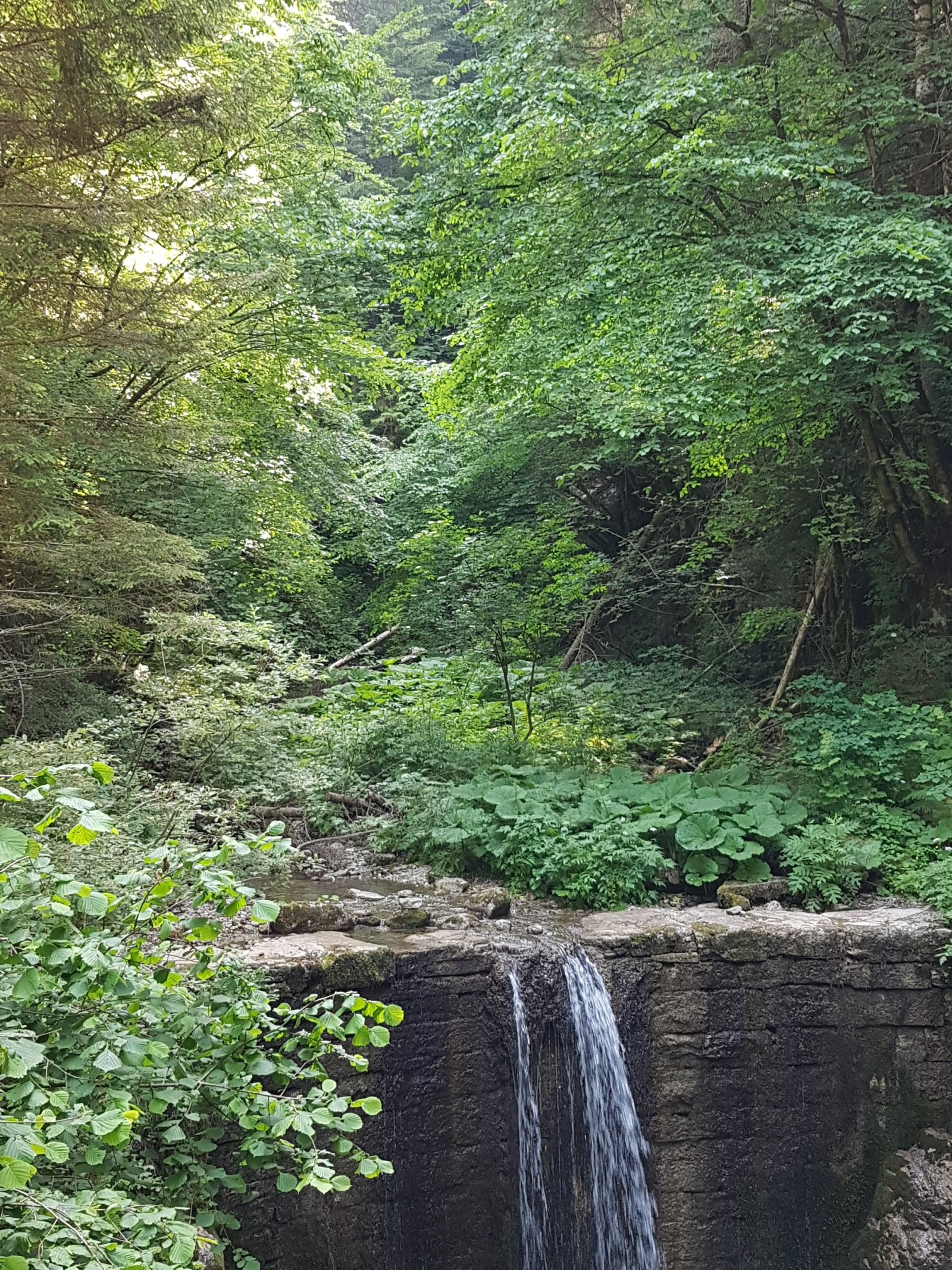 La cascada del Gorg d'abiss - Tiarno di Sotto | Secret World Trip Planner