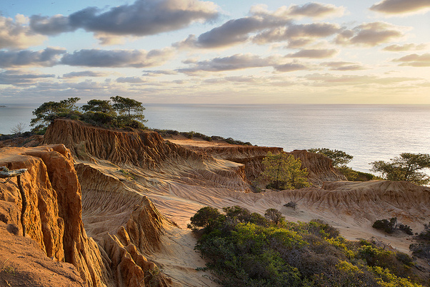 Reserva Natural del Estado de Torrey Pines — La Jolla